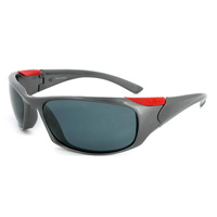 Julbo SAIL XL OCTOPUS ASPHALT/RED